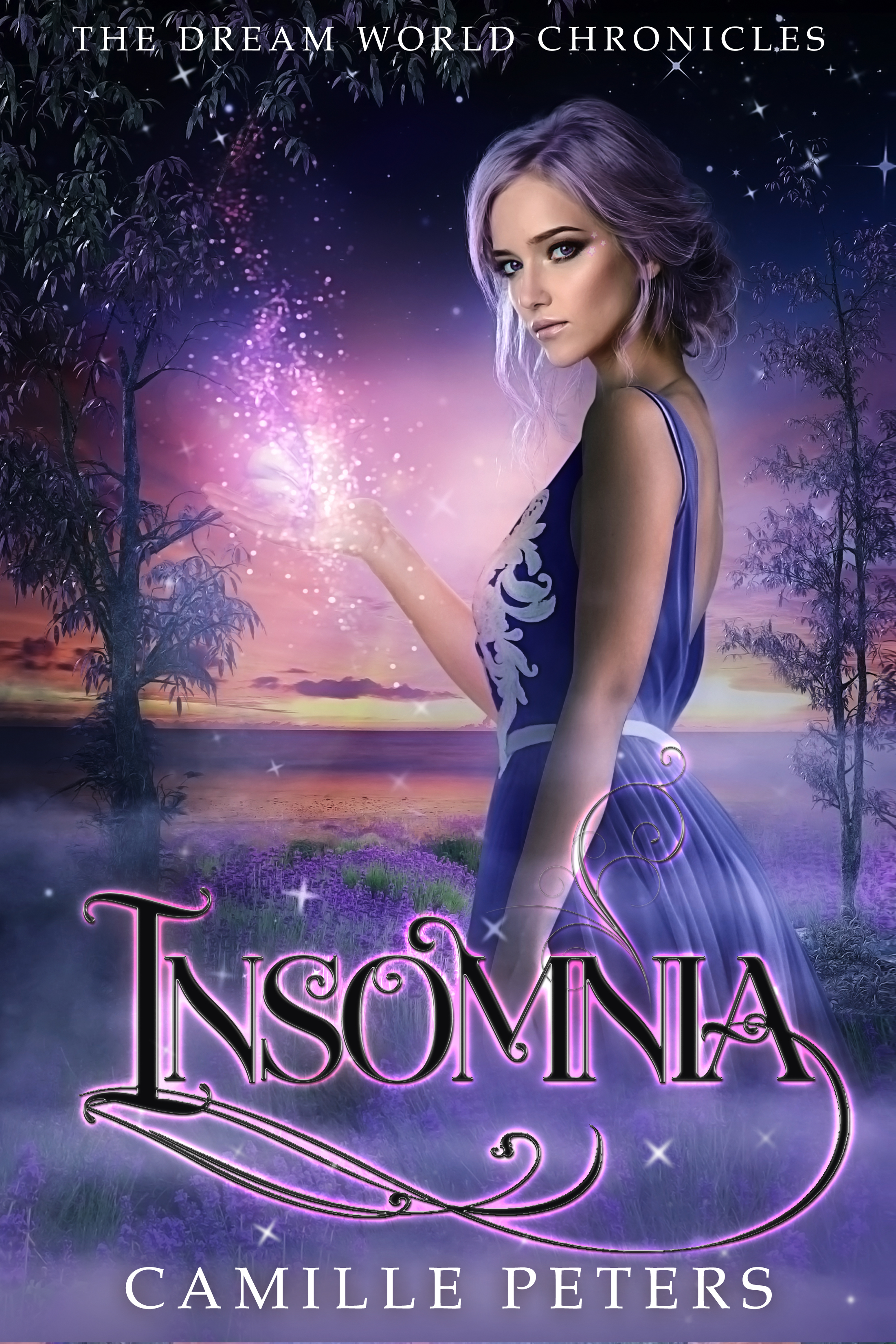 The Dream World Chronicles book cover 3