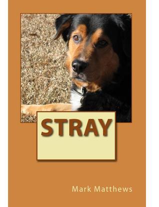 Stray book cover