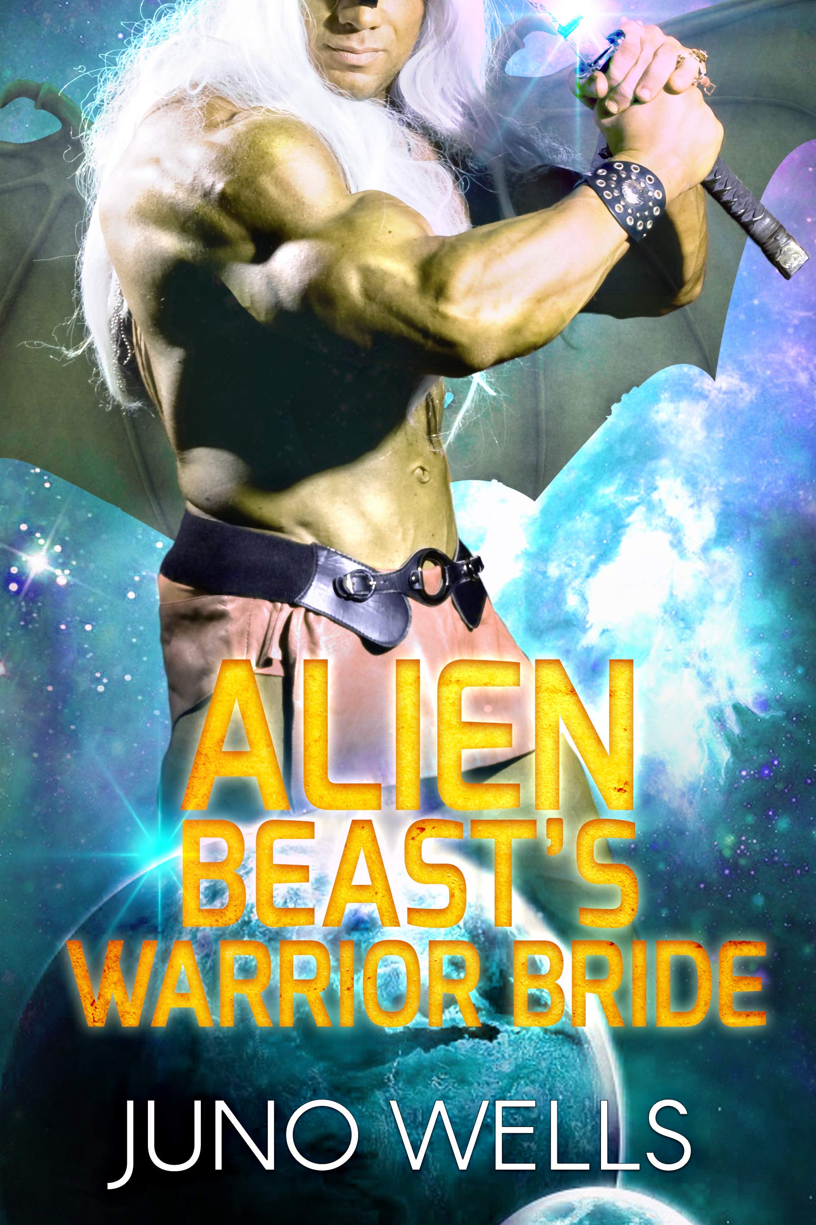 Alien Beast's Warrior Bride book cover