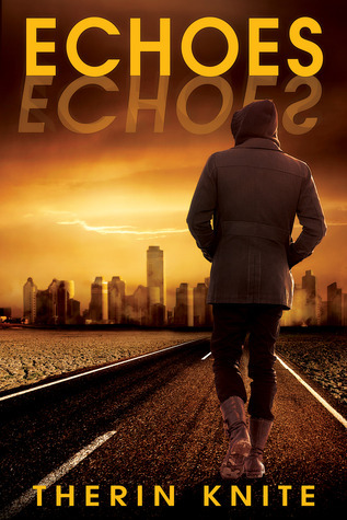 The Echoverse book cover 1