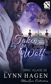 Taken by the Wolf book cover