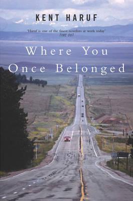 Where You Once Belonged book cover