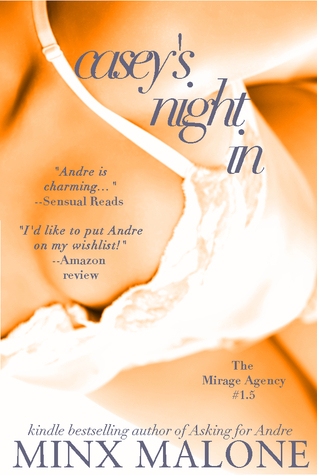 Casey's Night In book cover