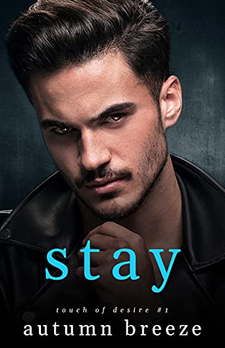 Touch of Desire book cover 1