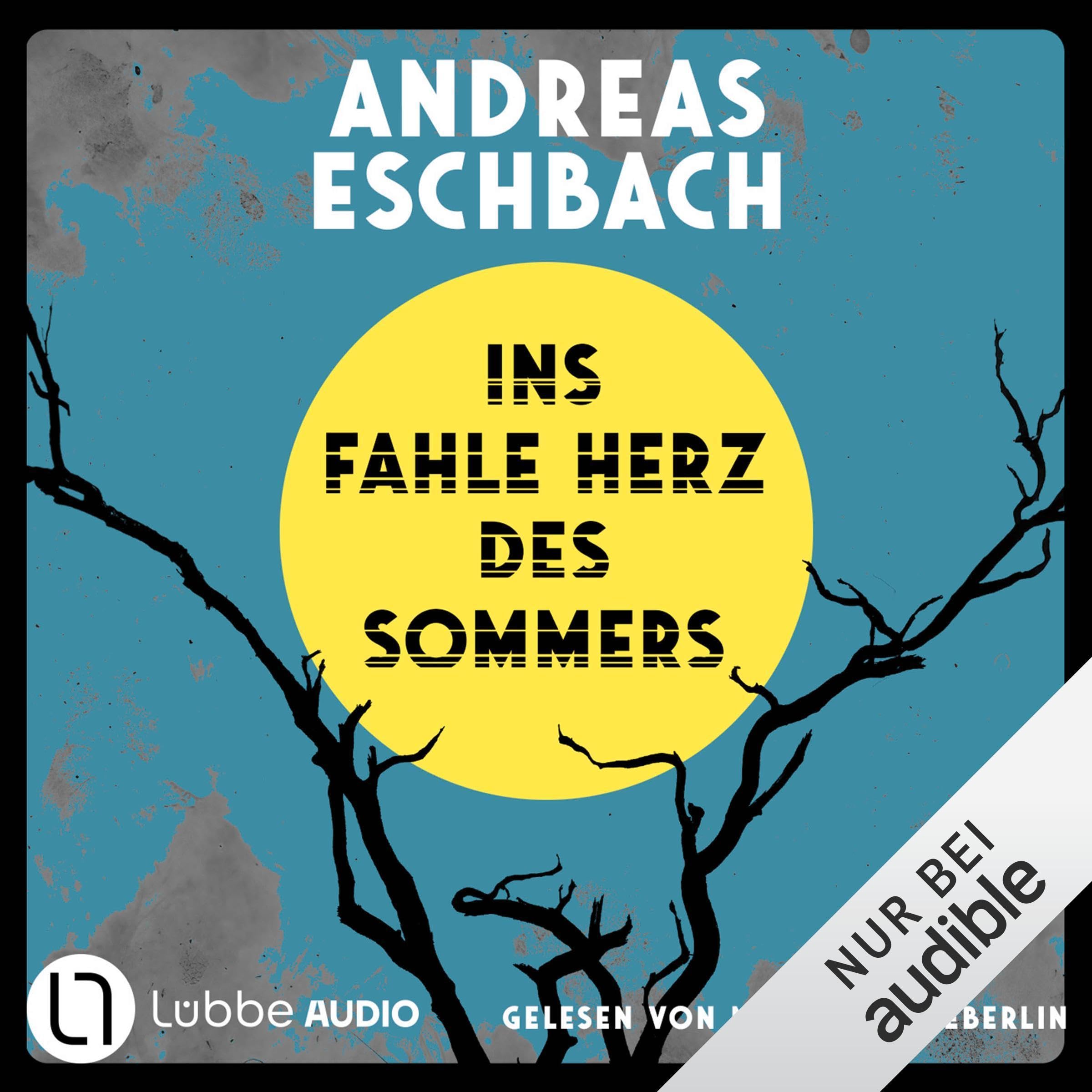 Ins fahle Herz des Sommers book cover