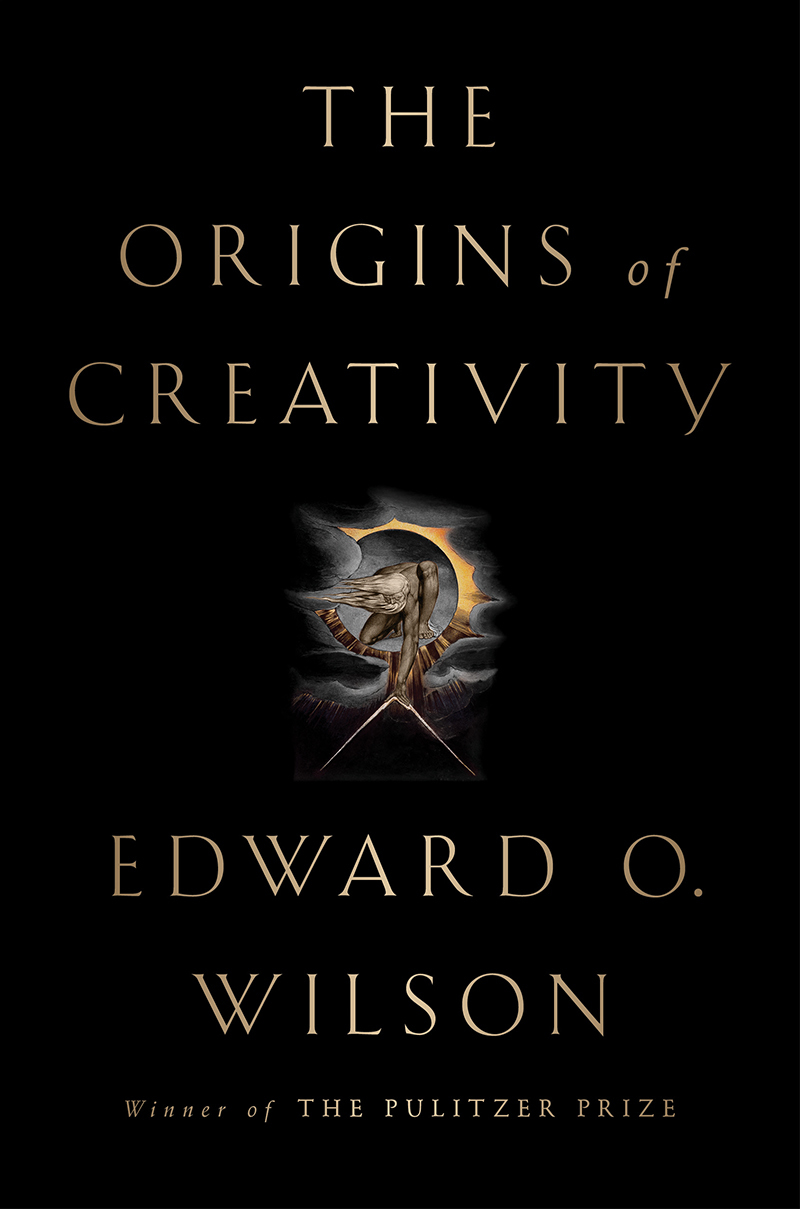 The Origins of Creativity book cover