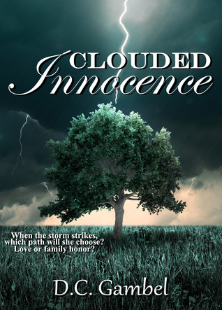 Clouded book cover 1