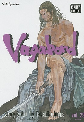 Vagabond, Volume 29 book cover