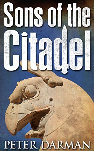 Sons of the Citadel book cover
