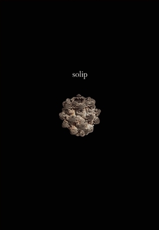 Solip book cover