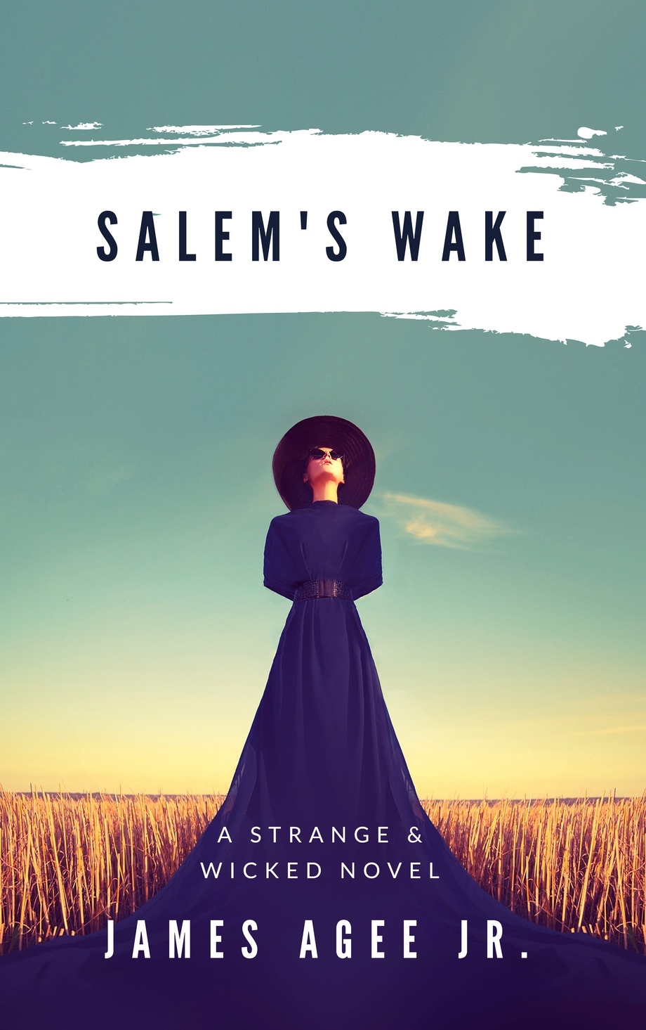 Salem's Wake book cover