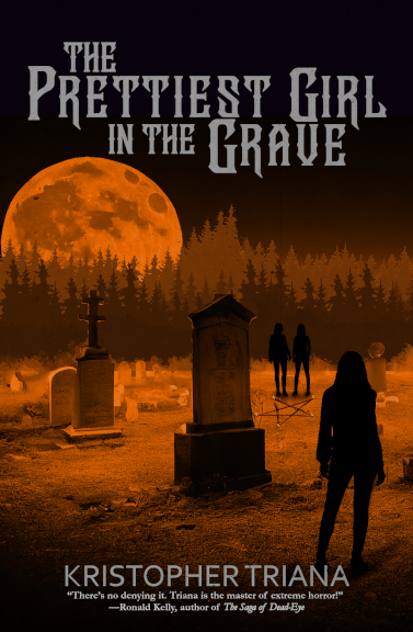 The Prettiest Girl in the Grave book cover