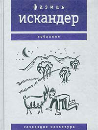 Capricorn Constellation book cover