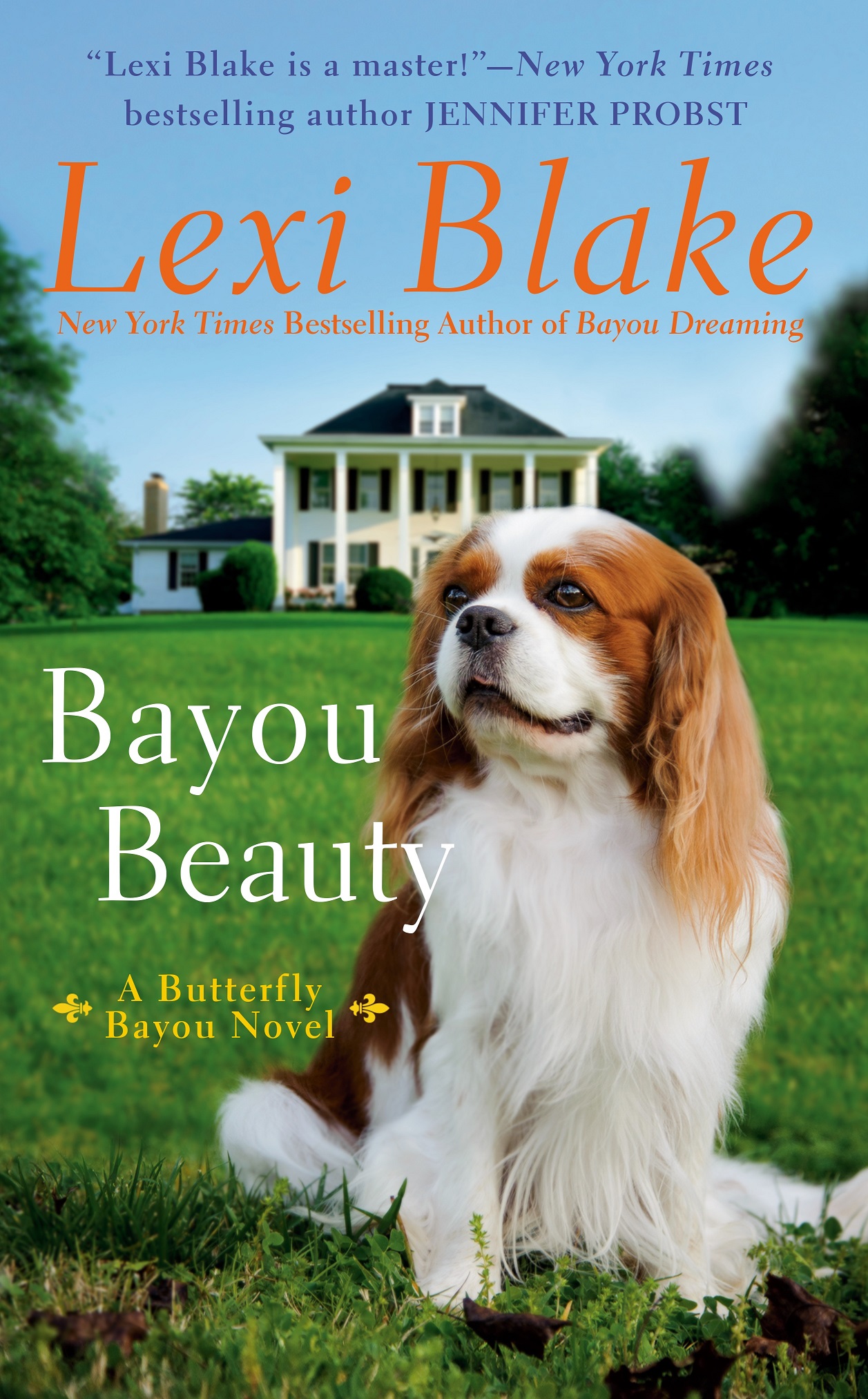 Bayou Beauty book cover