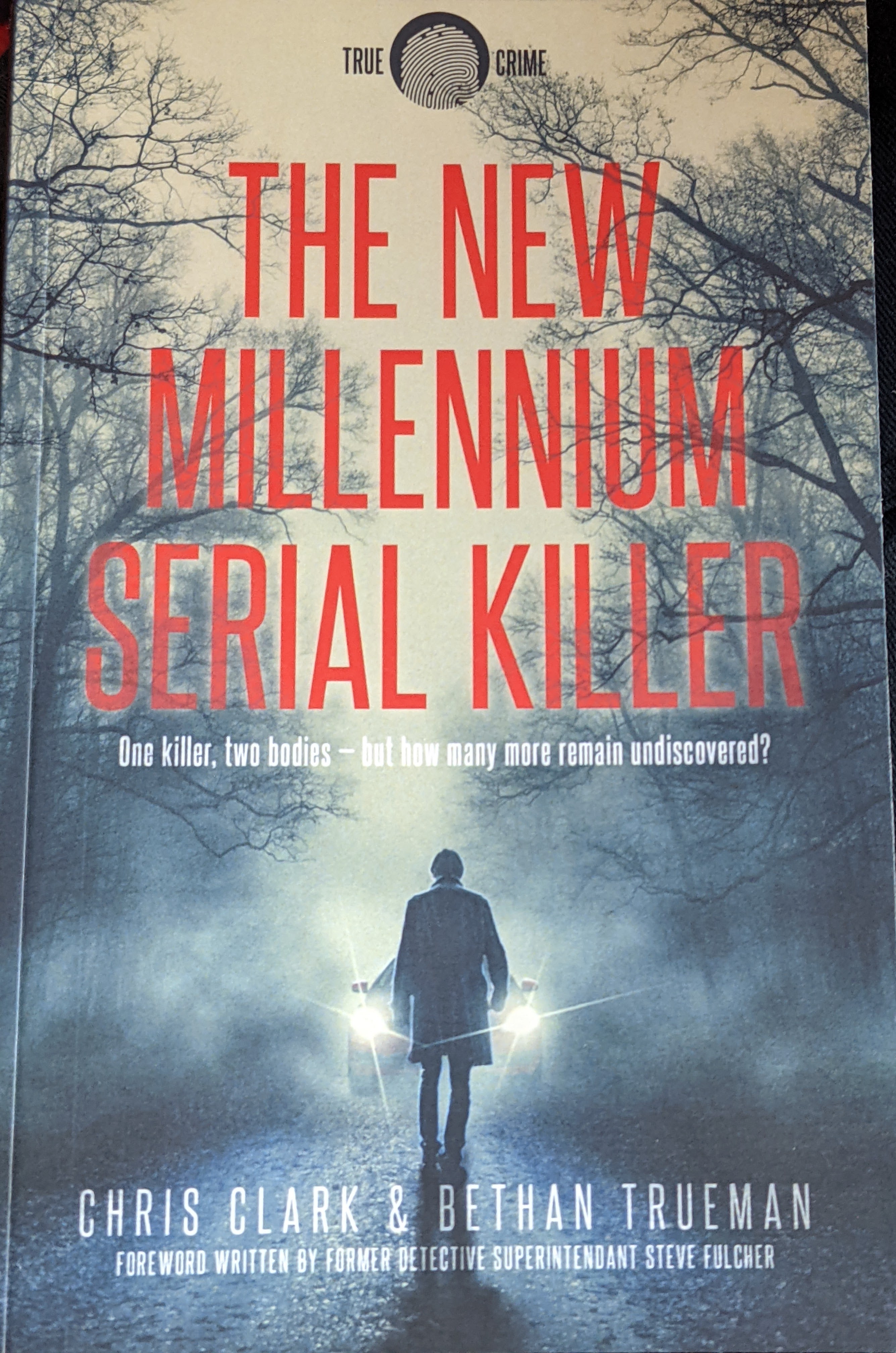 The New Millennium Serial Killer book cover