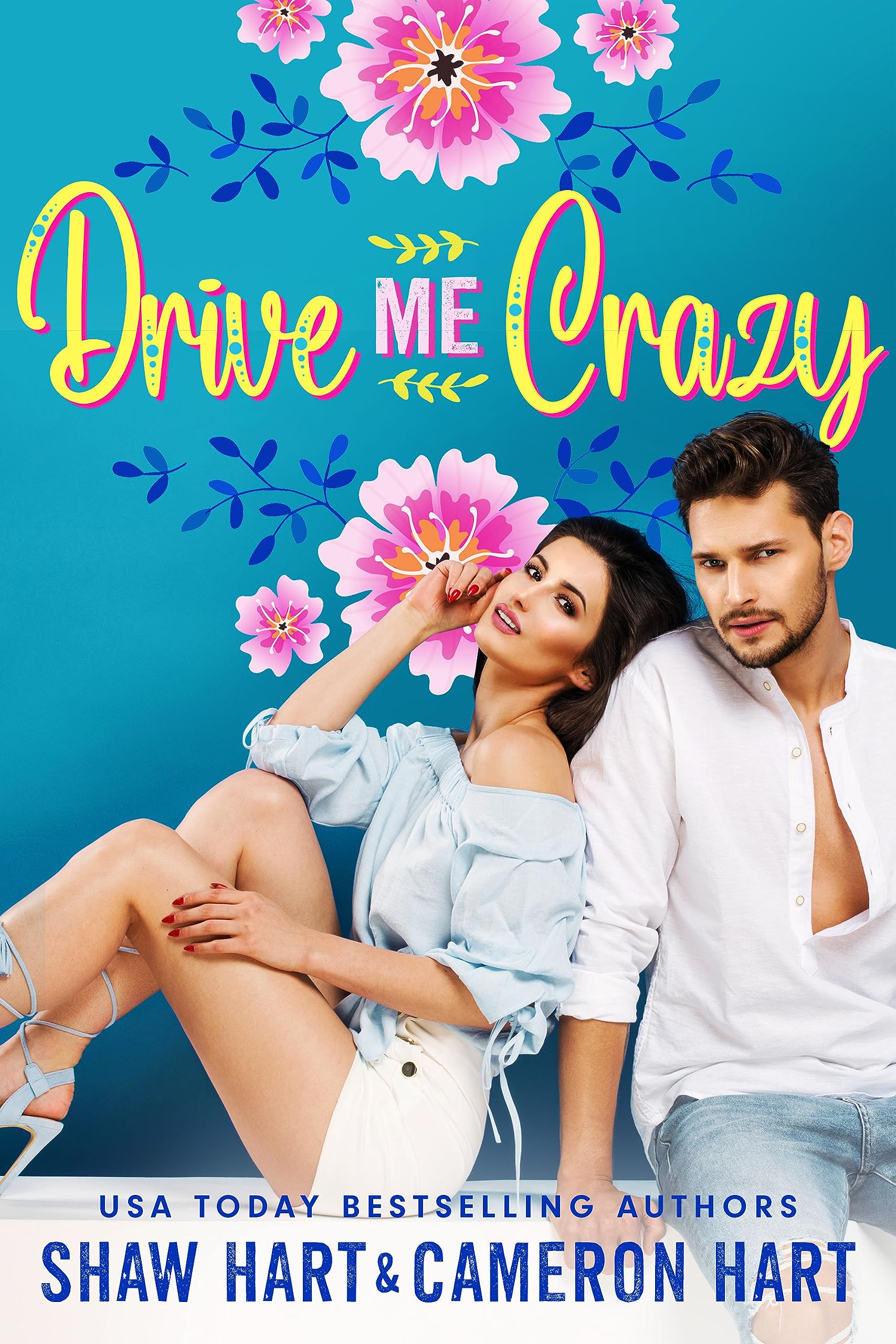 Drive Me Crazy book cover