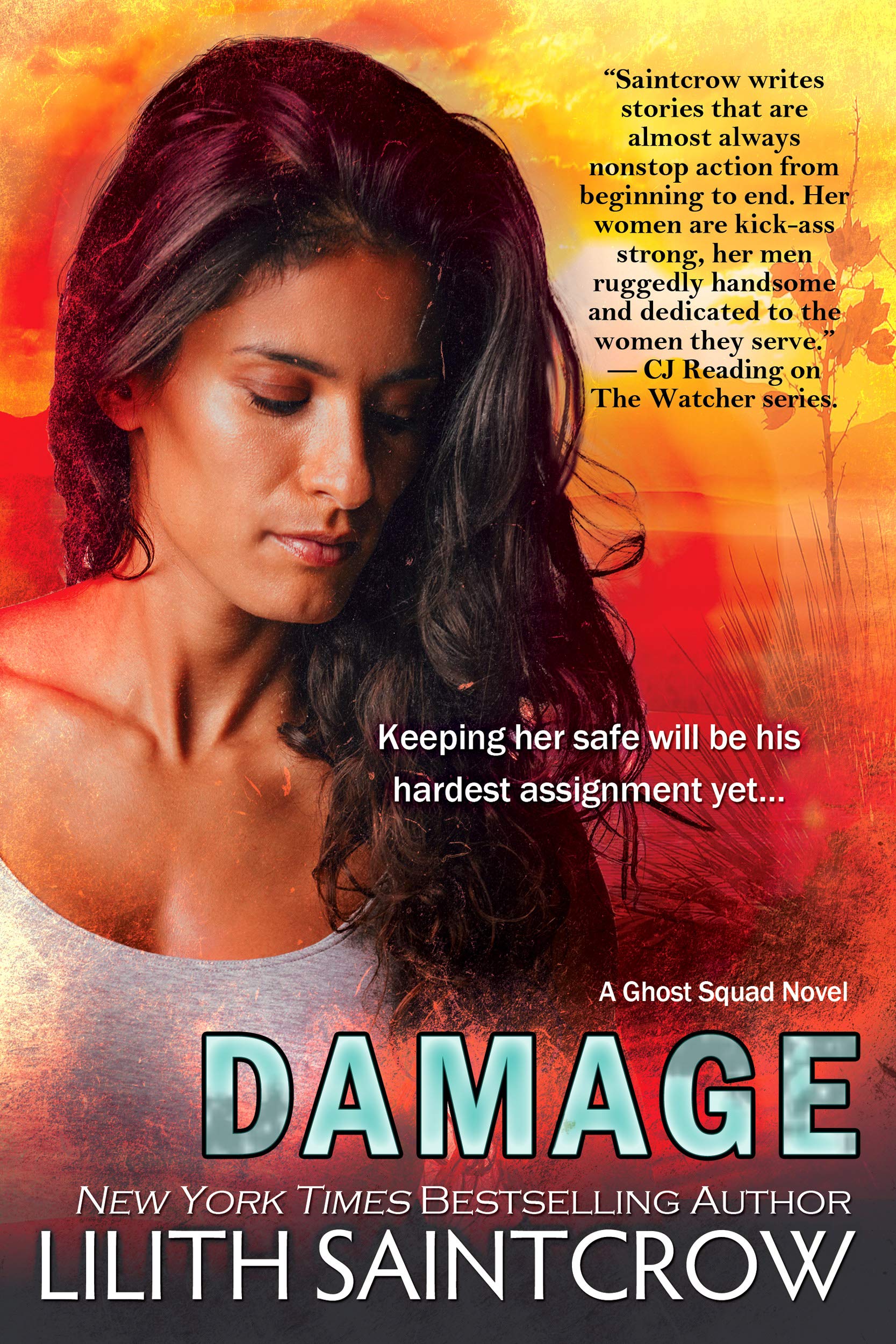Damage book cover