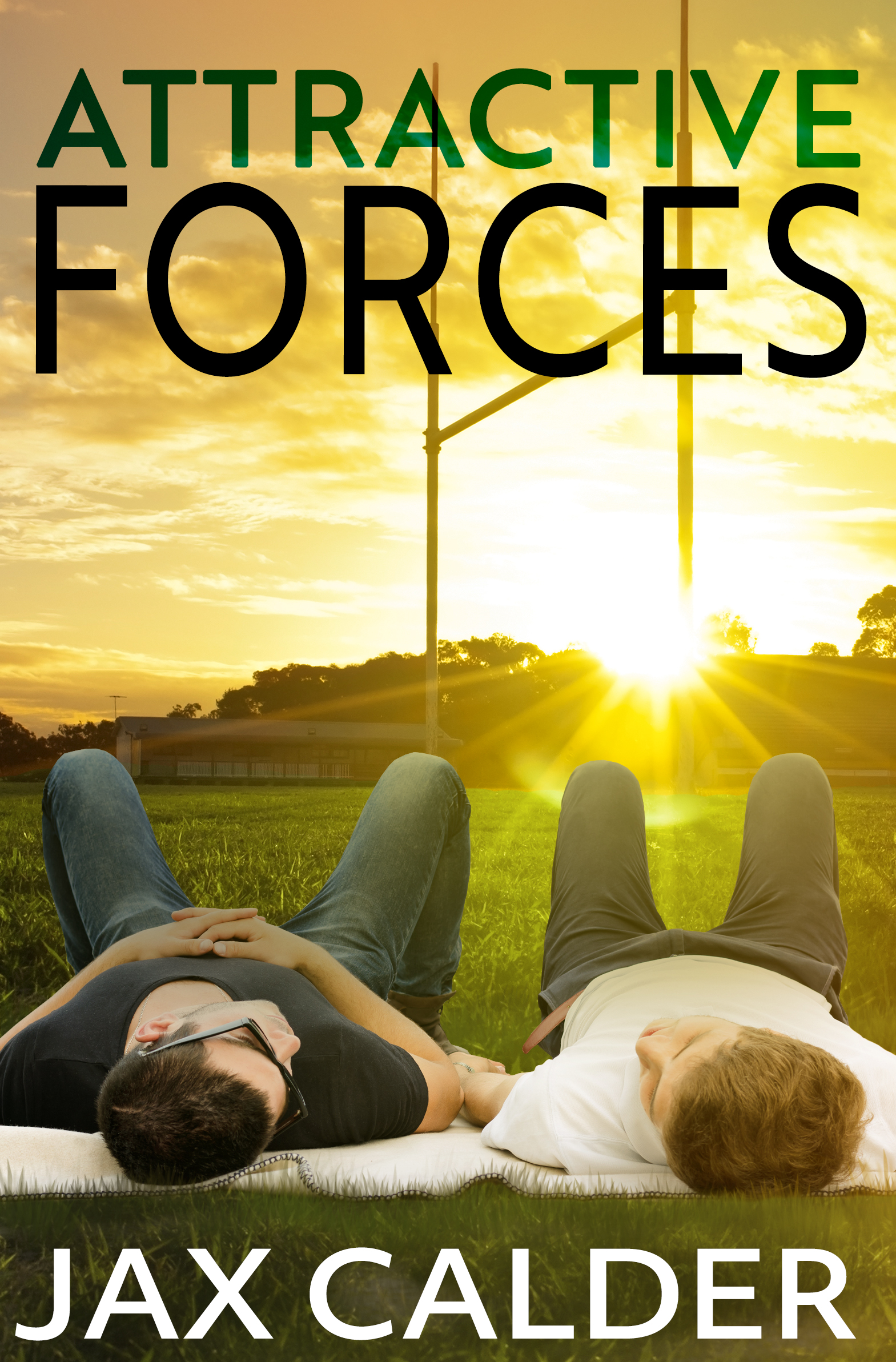 Attractive Forces book cover