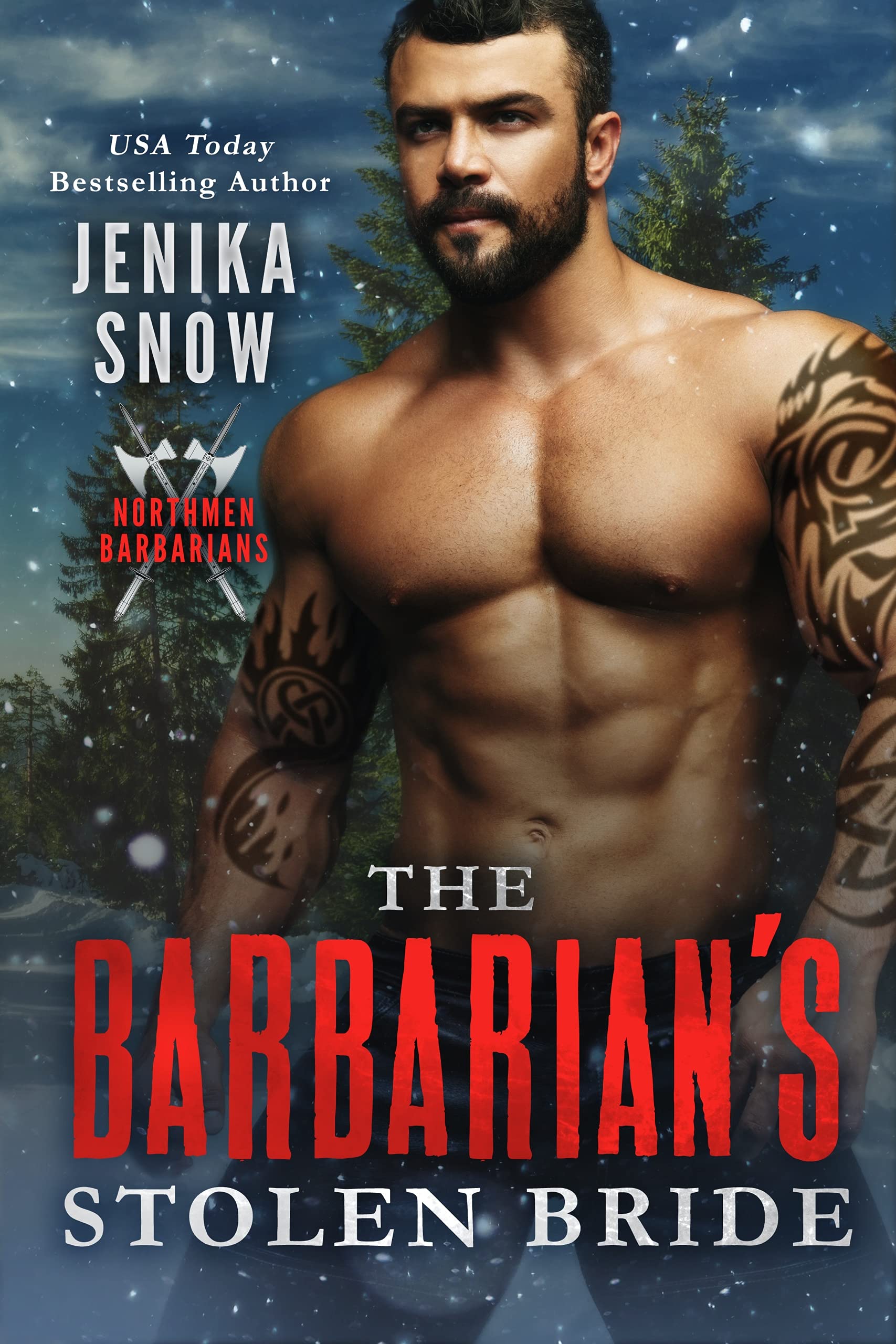 Northmen Barbarians book cover 1
