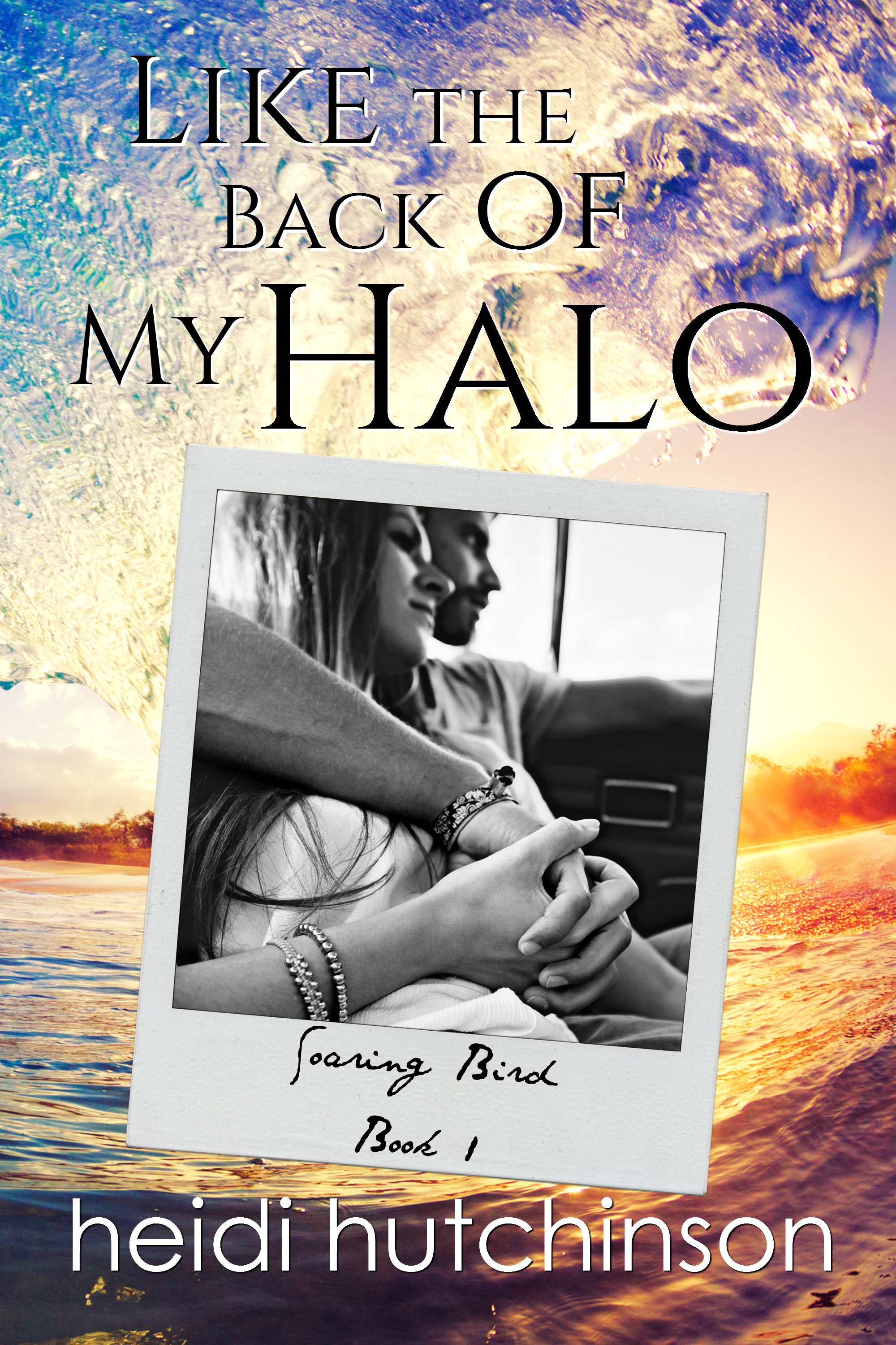 Soaring Bird book cover 1