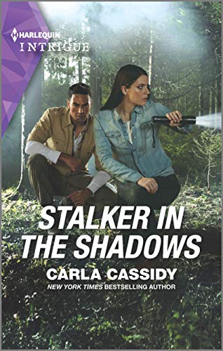 Stalker in the Shadows book cover