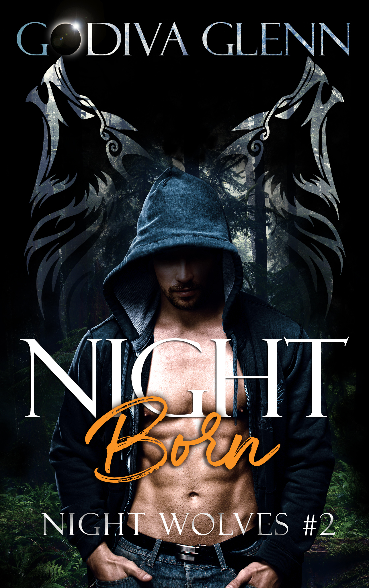 Night Wolves book cover 2