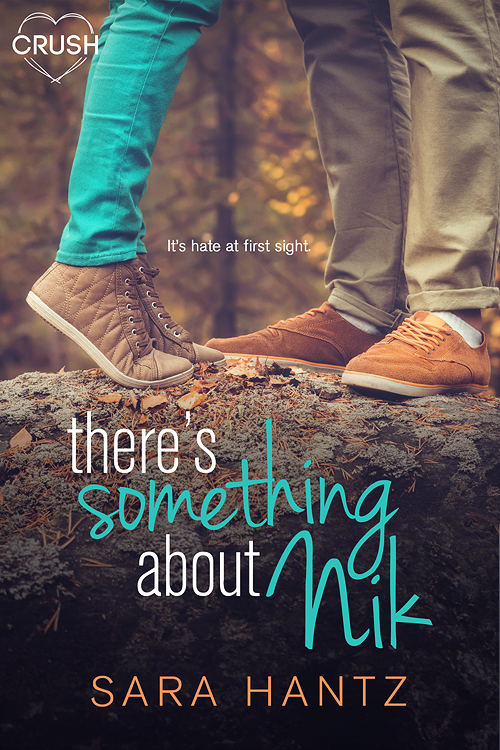 There's Something About Nik book cover