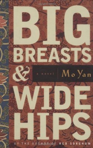 Big Breasts and Wide Hips book cover
