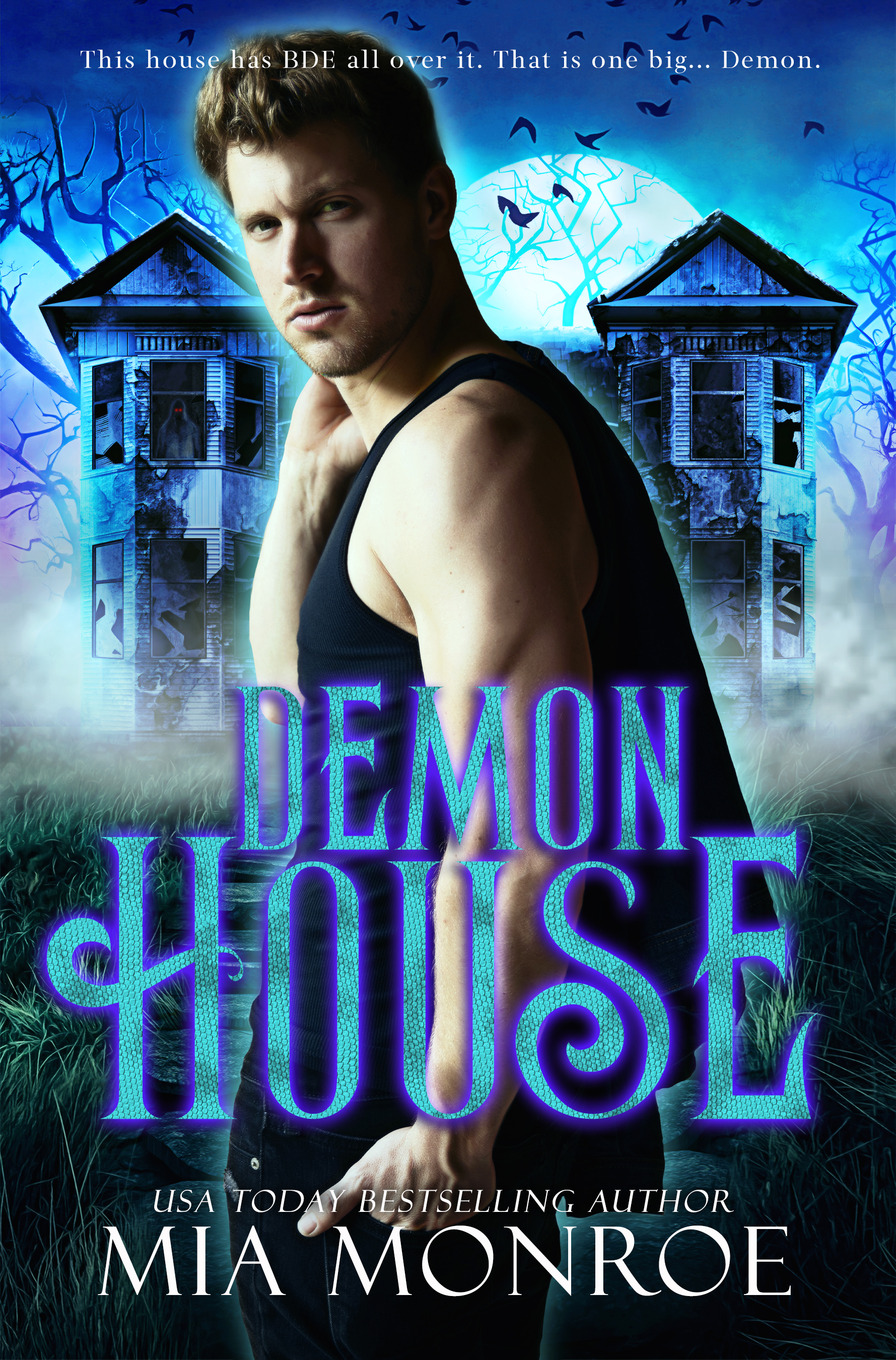 Demon House book cover
