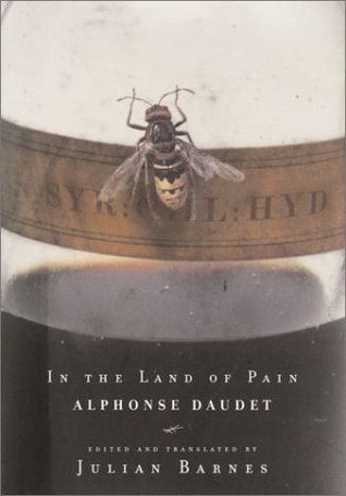 In the Land of Pain book cover