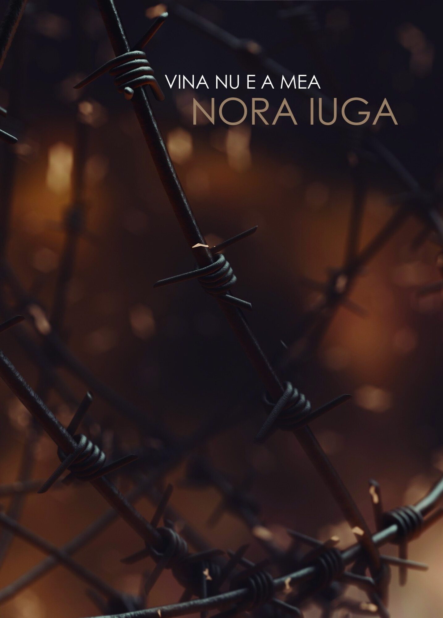 Vina nu e a mea book cover