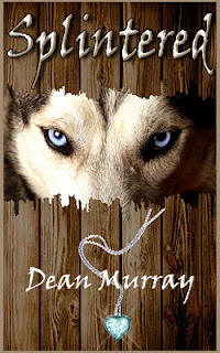 Reflections book cover 3