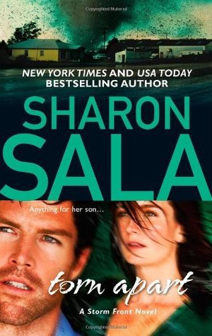 Storm Front book cover 2