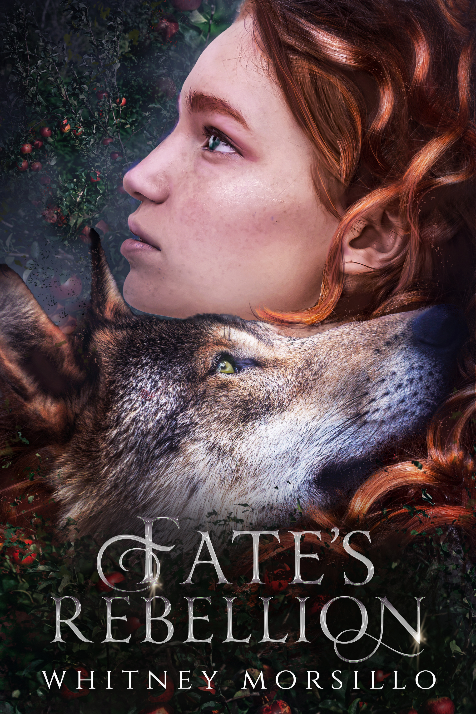 Sixth Sense book cover 1