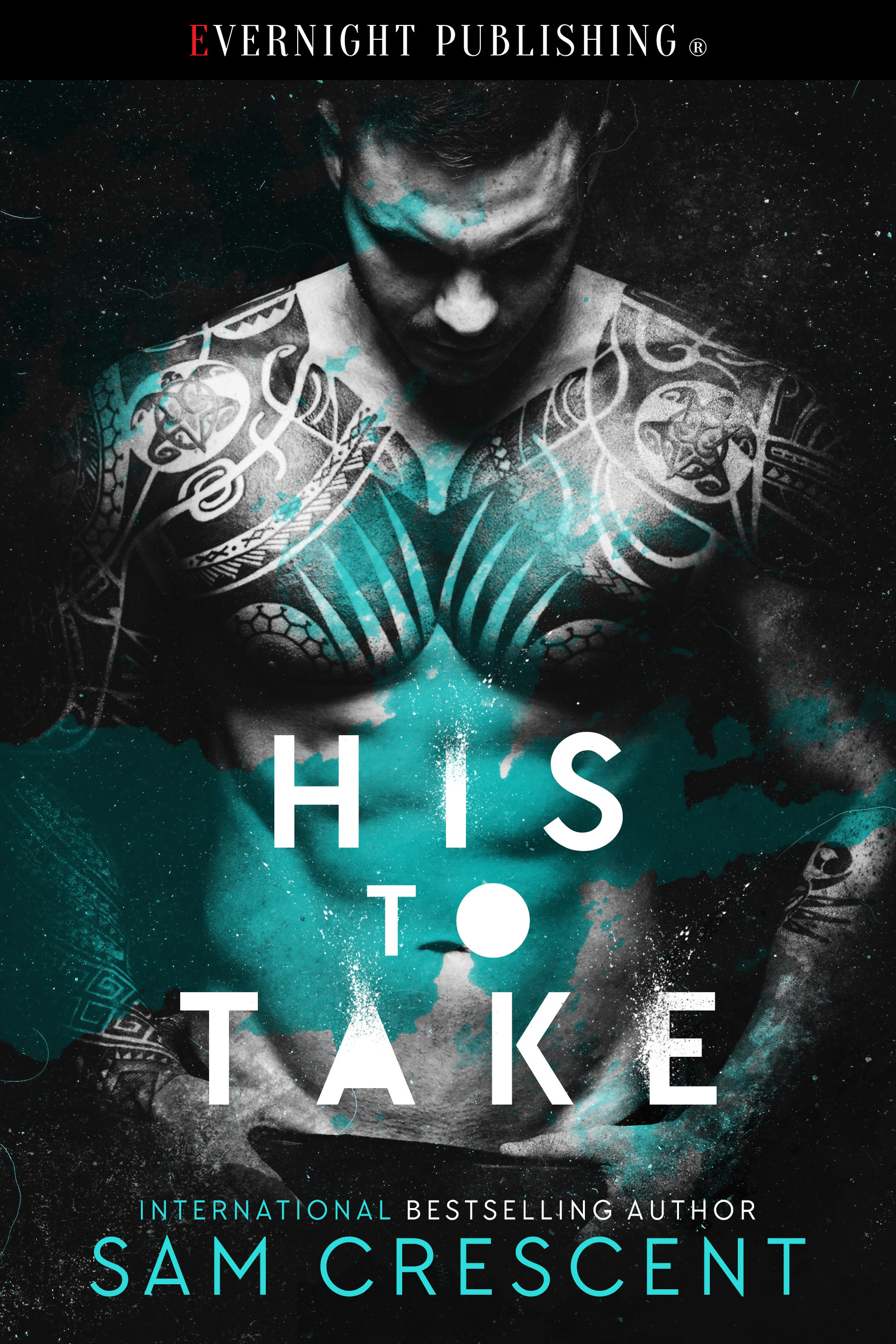 His to Take book cover