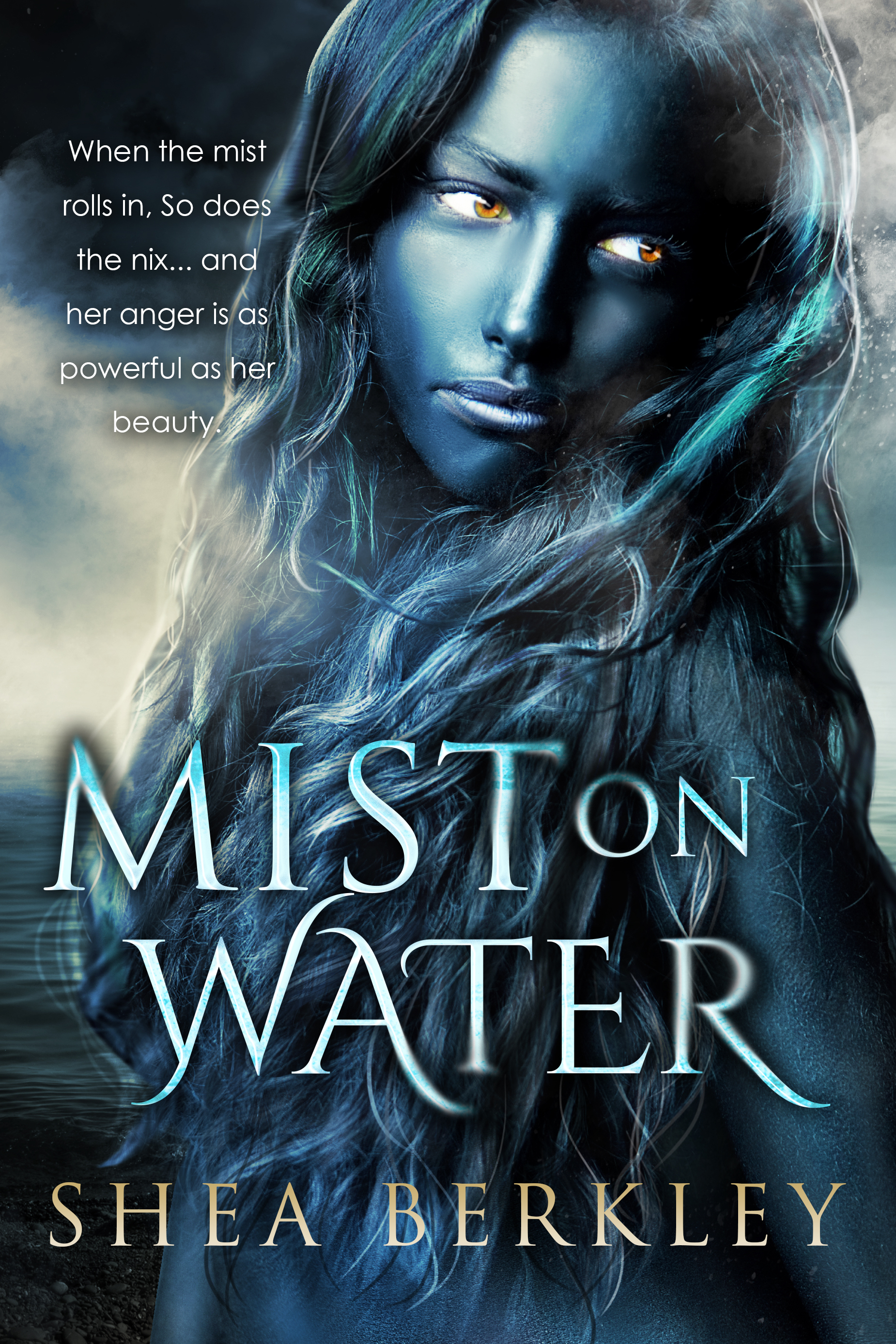 Mist on Water book cover