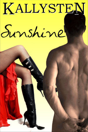 Sunshine book cover