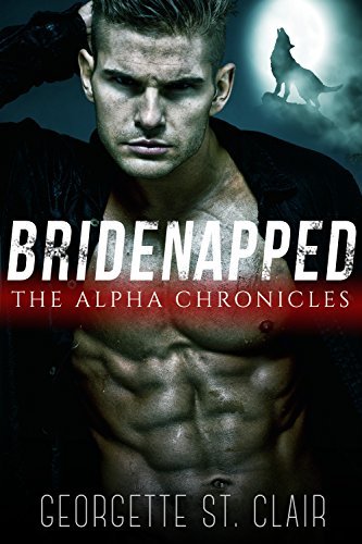Bridenapped book cover 1