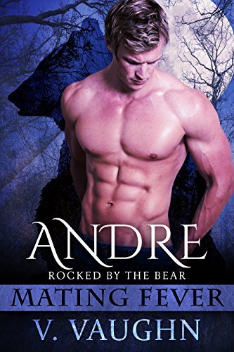 Rocked by the Bear book cover 1