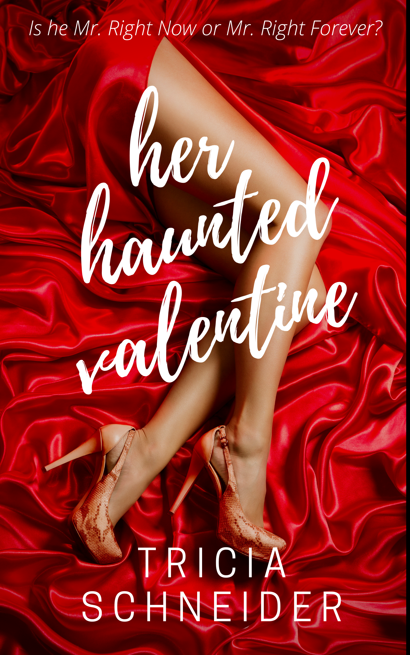 Her Haunted Valentine book cover