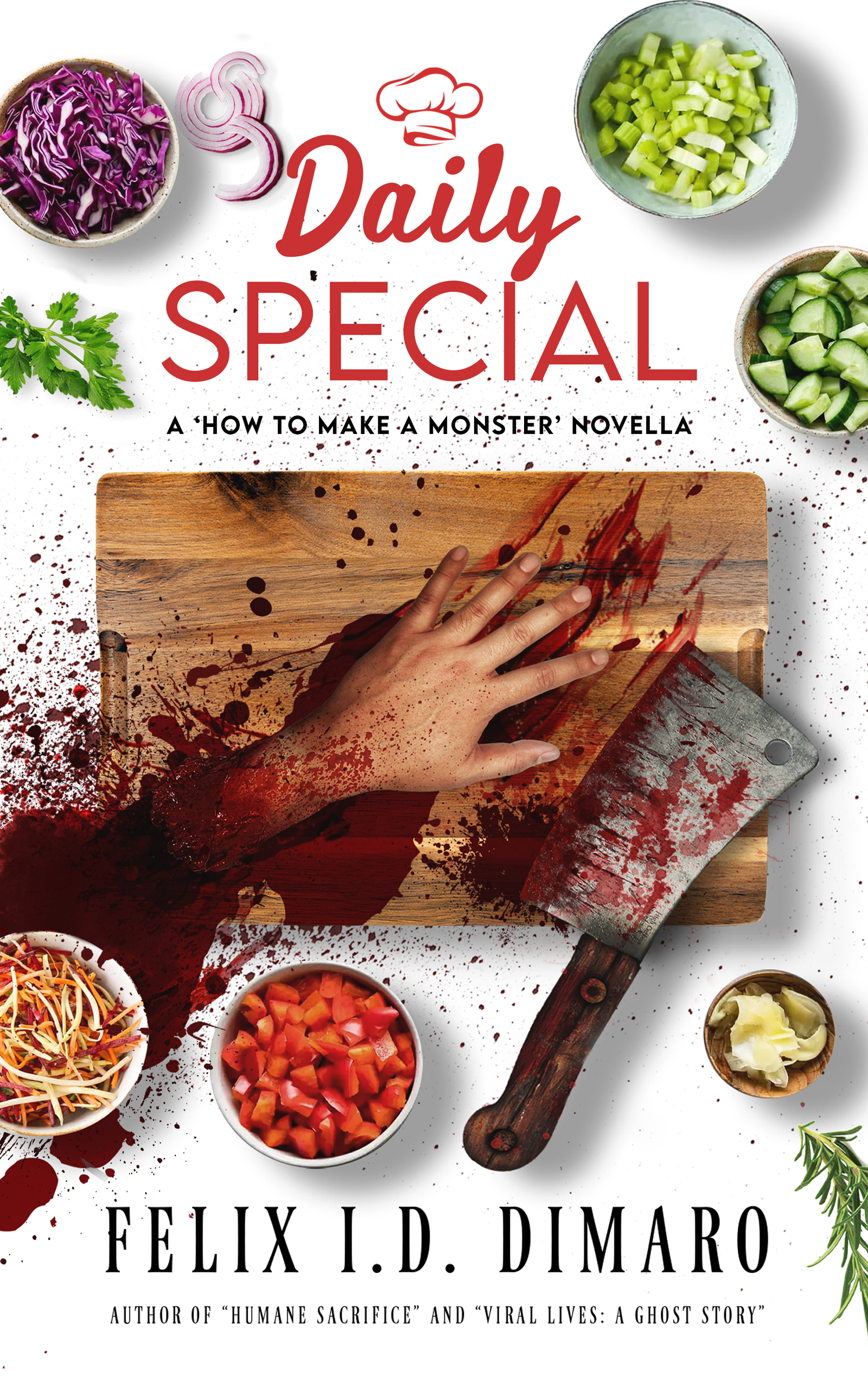 Daily Special book cover