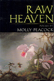 Raw Heaven book cover