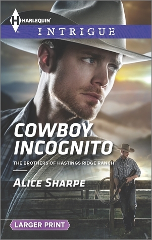 The Brothers of Hastings Ridge Ranch book cover 1