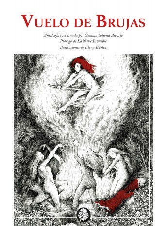Vuelo de brujas book cover