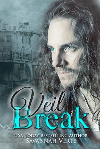Veil Break book cover