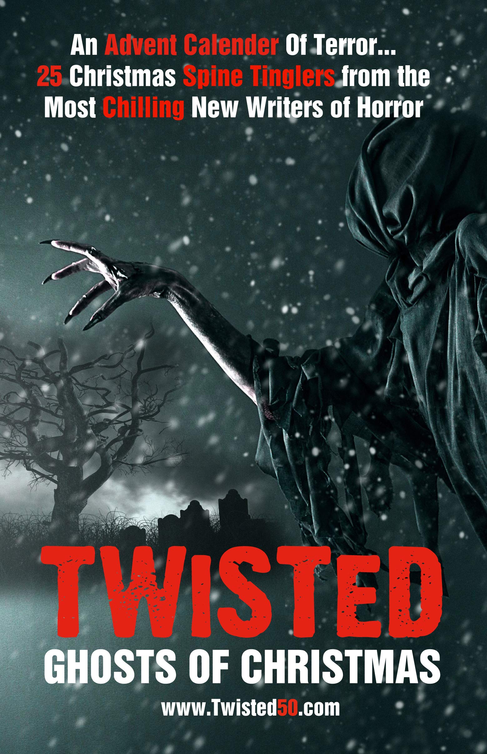 Twisted 50 book cover 1