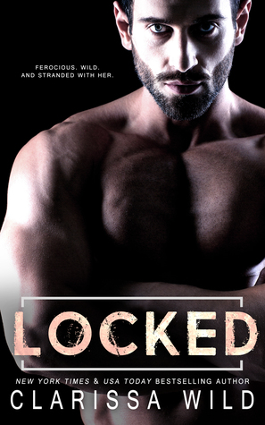Savage Men book cover 2