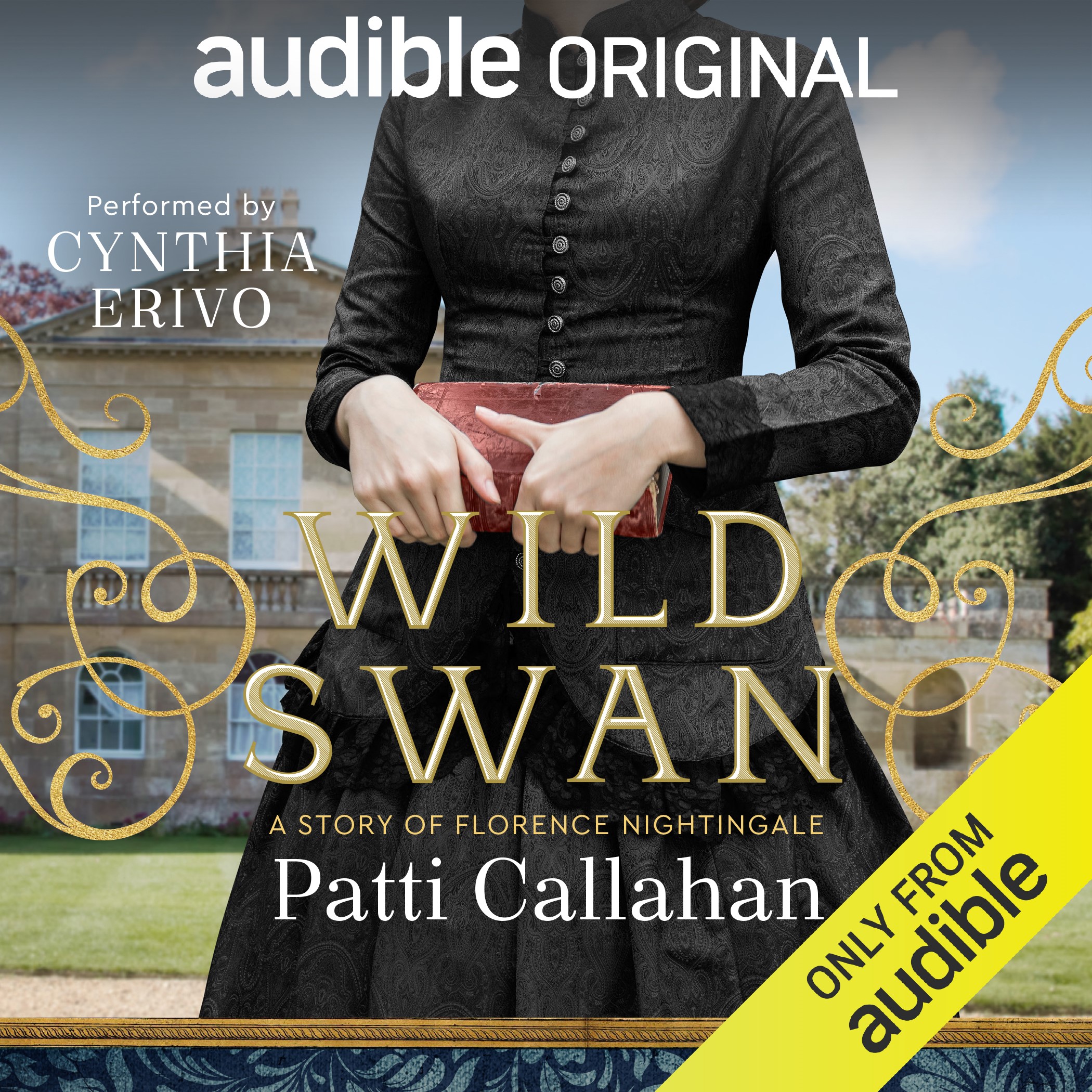 Wild Swan book cover