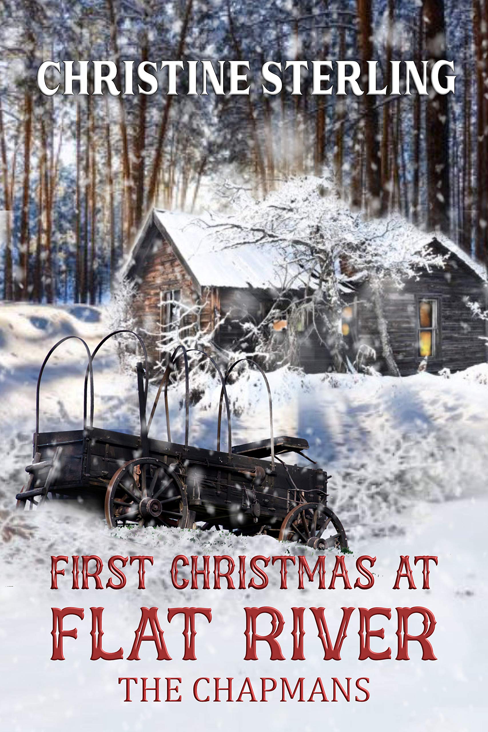 First Christmas at Flat River book cover