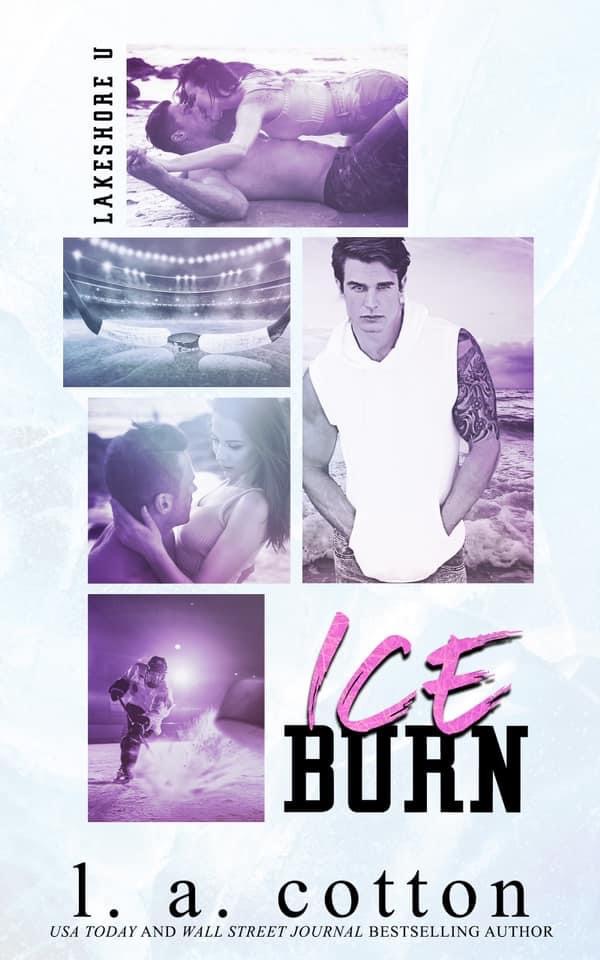 Ice Burn book cover